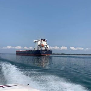 Meet your Posher, Adele